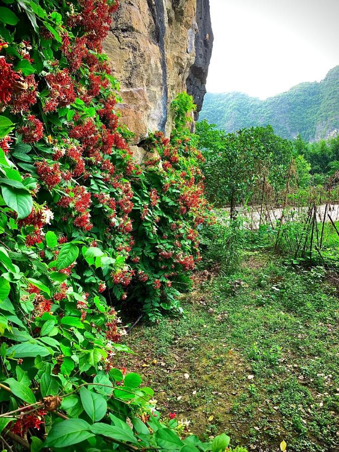 Trang An Valley Bungalow Ninh Binh Bagian luar foto